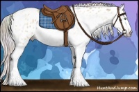 Horse Color:Gray Nacre Silver Amber Cream Champagne Roan Dun Splash Tobiano Frame Near Leopard Rabicano 