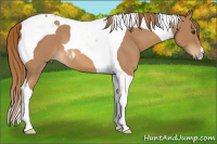 Horse Color:Red Roan Tobiano 