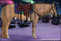 Horse Color:Nacre Brown Rabicano  Brindle