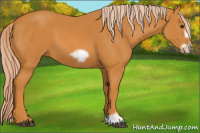 Horse Color:Chocolate Palomino Frame 