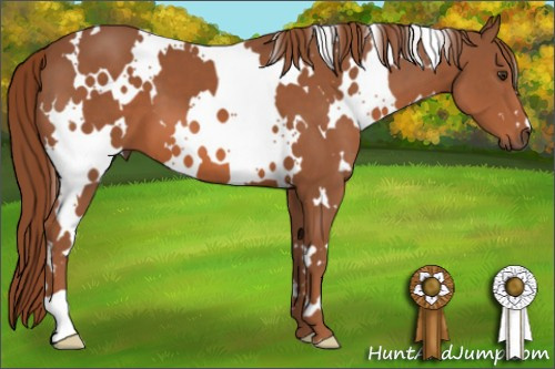 Horse Color: White Spotted Chestnut 
