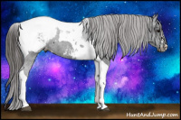 Horse Color:Black Tobiano Snowcap 