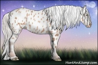Horse Color:Silver Amber Champagne Blanket 