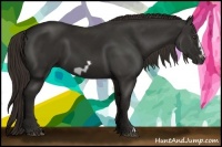 Horse Color:Liver Chestnut Frame 