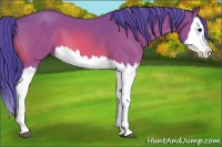 Horse Color:Watercolor Bay Splash 
