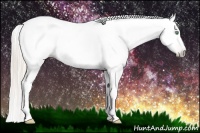 Horse Color:Gray Silver Amber Cream Champagne Roan Dun Splash Tobiano Frame Appaloosa Rabicano 