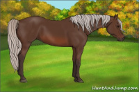 Horse Color:Silver Brown 