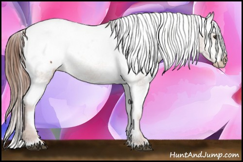 Horse Color: Chestnut Snowcap 