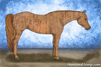 Horse Color:Liver Chestnut  Brindle