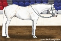 Horse Color:Gray Silver Amber Cream Champagne Roan Dun Splash Tobiano Frame Blanket Rabicano 