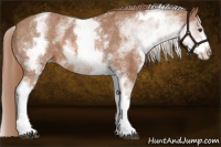 Horse Color:White Spotted Liver Chestnut Blanket 