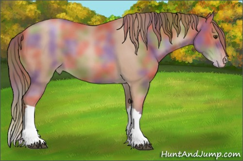 Horse Color: Nacre Brown Pearl 