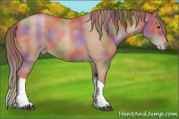 Horse Color:Nacre Brown Pearl 