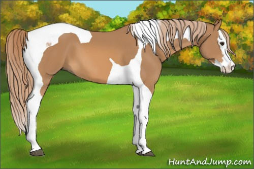 Horse Color: Chestnut Splash Tobiano 