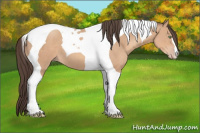 Horse Color:Amber Champagne Tobiano 