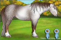 Horse Color:Gray Chestnut Sabino 