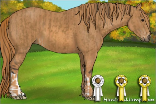 Horse Color: Buckskin  Brindle