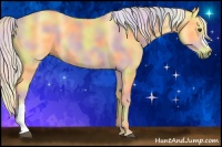 Horse Color:Nacre Palomino 