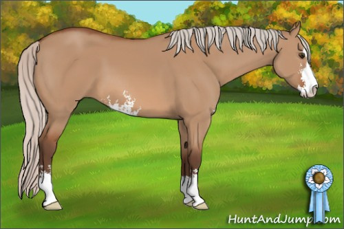 Horse Color: Silver Bay Dun Sabino 