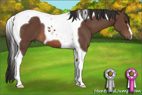 Horse Color: Bay Tobiano 