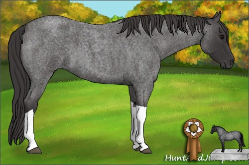 Horse Color: Smoky Blue Roan Tobiano 