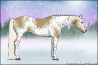 Horse Color:White Spotted Silver Smoky Black 