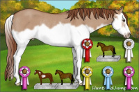 Horse Color:Red Dun Roan Splash Frame Rabicano