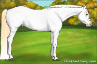 Horse Color:Buckskin Dun Near Fewspot 