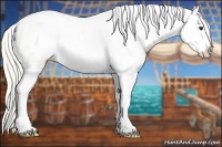 Horse Color:Silver Buckskin Splash Tobiano Snowcap
