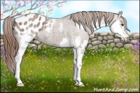 Horse Color:Bay Roan Splash Blanket 