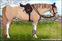 Horse Color:Gold Champagne Splash Tobiano