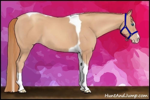 Horse Color:Gold Champagne Splash Tobiano 