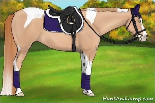 Horse Color:Gold Champagne Splash Tobiano 