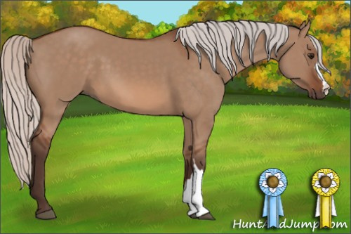 Horse Color: Silver Bay Dun 