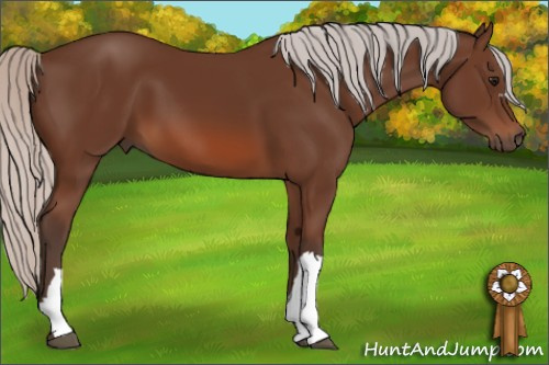 Horse Color: Silver Brown 