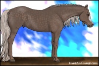 Horse Color:Silver Black 