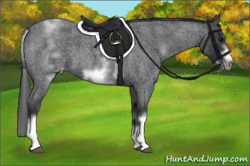 Horse Color:White Spotted Blue Roan Splash Frame Blanket