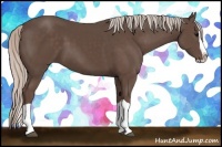 Horse Color:Silver Black Splash