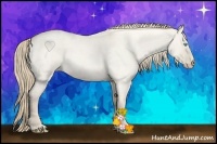 Horse Color:Smoky Creme Roan Dun 