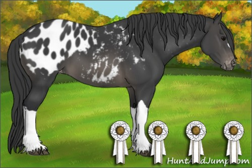 Horse Color: Brown Blanket 