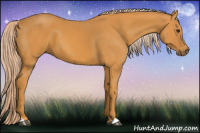 Horse Color:Chocolate Palomino 
