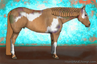 Horse Color:Nacre Bay Splash Frame  Brindle