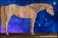 Horse Color:Nacre Chestnut 