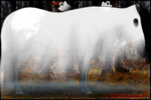 Horse Color: Brown Snowcap 