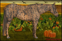 Horse Color:Brown Rabicano  Brindle