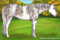 Horse Color:White Spotted Silver Brown Splash 