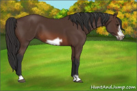 Horse Color:Brown Frame 