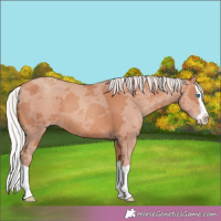 Horse Color:Silver Sable Champagne Splash 
