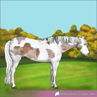 Horse Color:Brown Dun Merle 