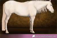 Horse Color:Gold Champagne Pearl Dun 